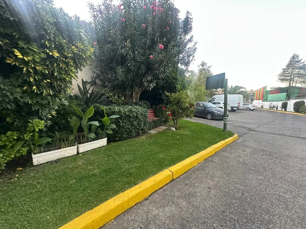 image10